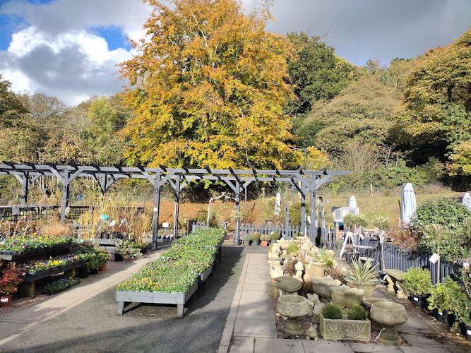 The Potting Shed Café & Restaurant — Bromsgrove