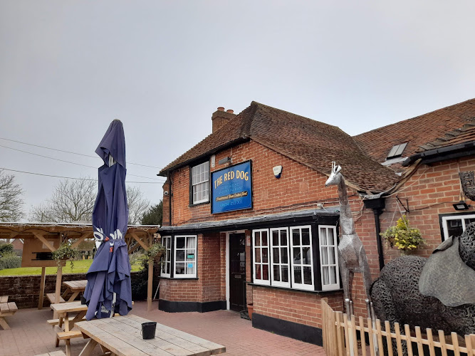 The Red Dog — Rochester