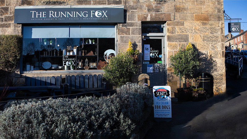 The Running Fox — Morpeth