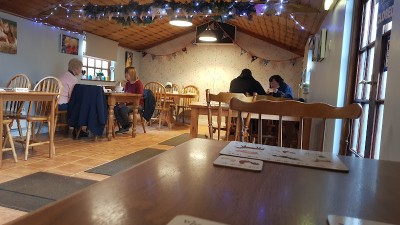 The Rural kitchen
