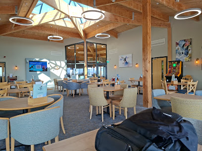 The Sandpiper