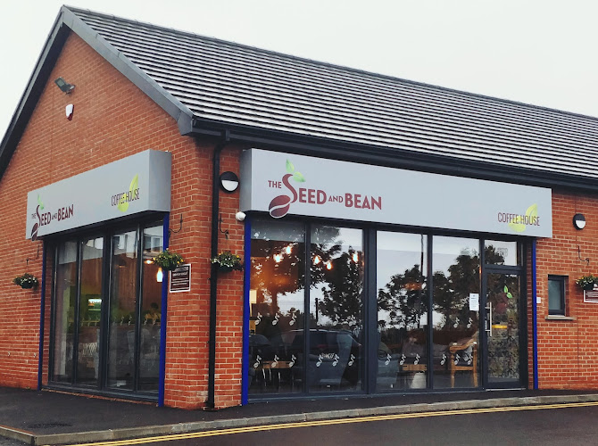 The Seed & Bean — Belfast