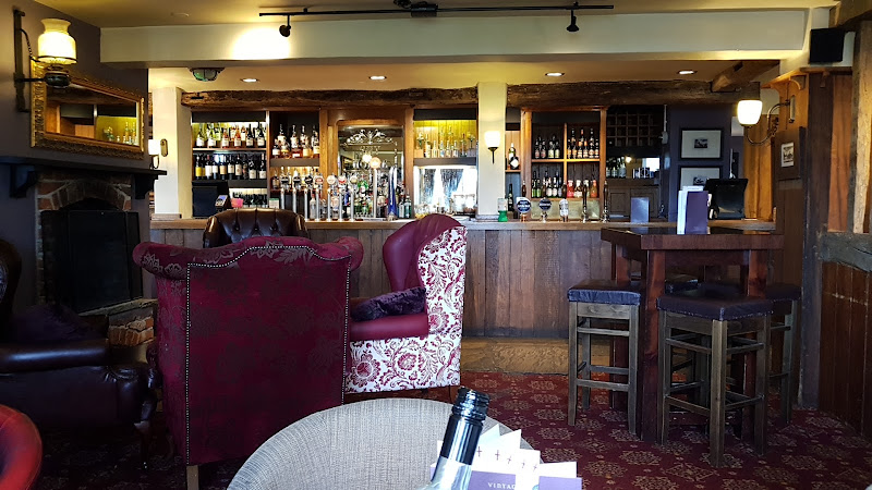 The Shy Horse — Chessington