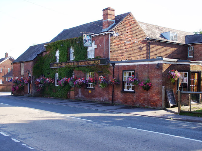 The Snakecatcher — Brockenhurst