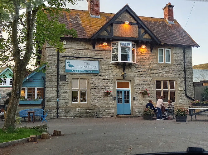 The Springhead