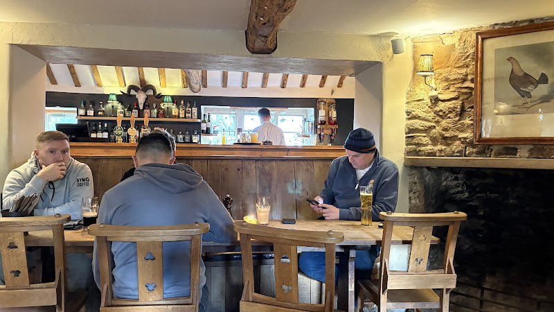 THE STUMP — Cheltenham