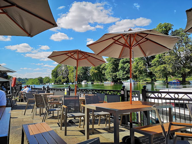 The Swan