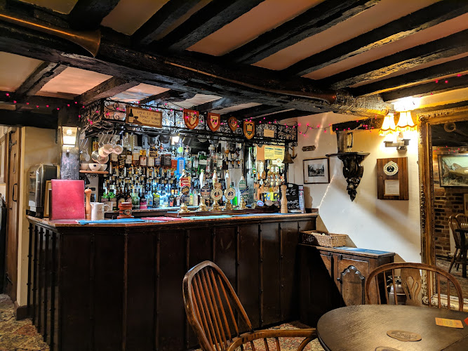 The Swan — Reading