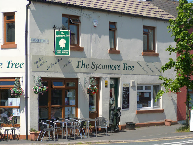 The Sycamore Tree