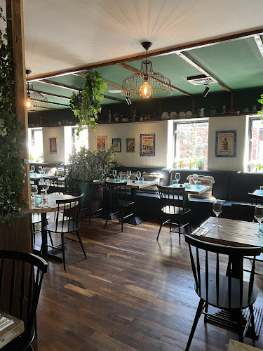 The Teal Monkey — Belfast