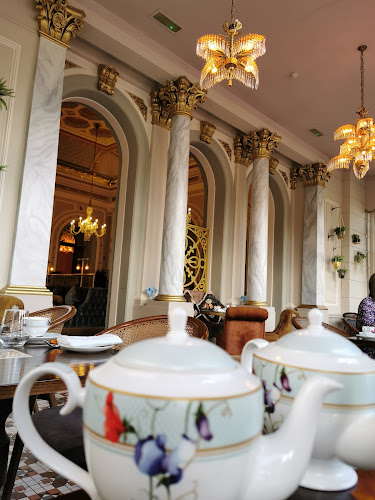 The Terrace