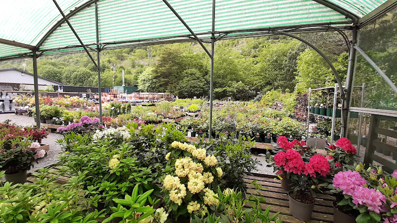 The Tree Shop Garden Centre and cafe