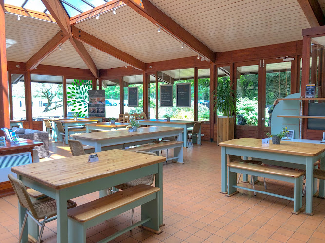 The Treehouse Café
