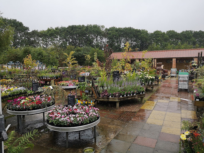 Thirsk Garden Centre — Thirsk