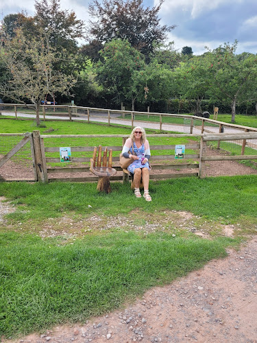 Torre Cider Farm — Watchet