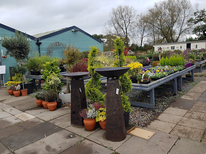 Tree Tops Nursery