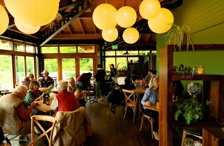 Treetop Café — Bath