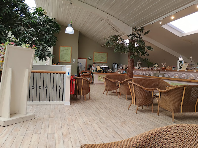 Treetops Cafe — Fleet