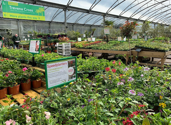 Trevena Cross Nurseries — Helston