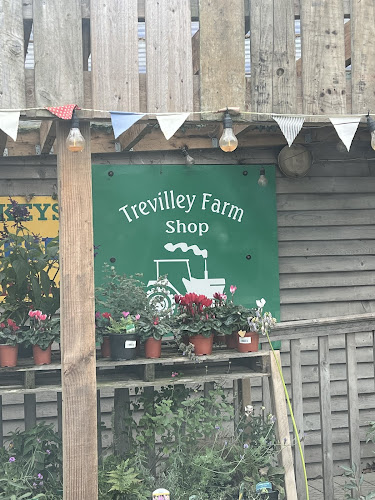 Trevilley Farm Shop & Cafe