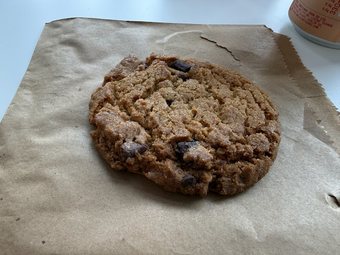Trilobite Cafe — Whiteknights