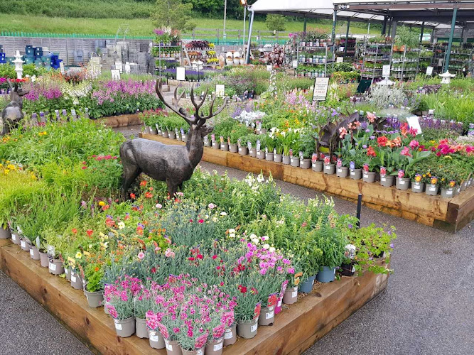 Tunbridge Wells Garden Centre