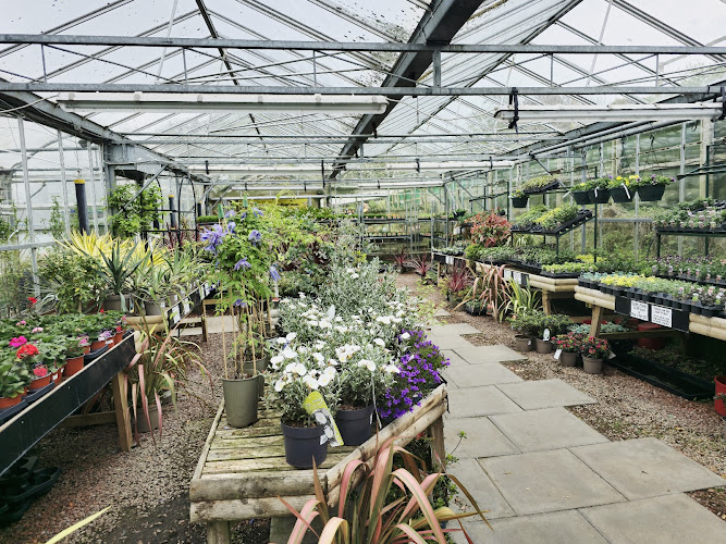 Tyne Valley Garden Centre — Stocksfield