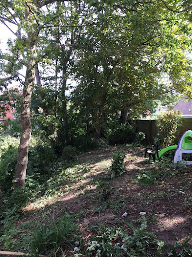 umut 2000 Harringay