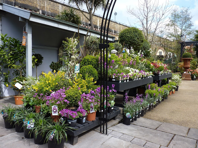 W6 Garden Centre and Cafe