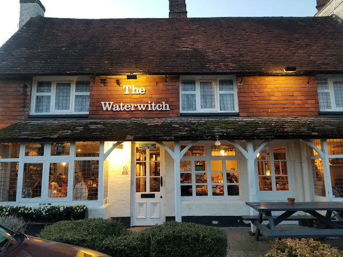 Waterwitch