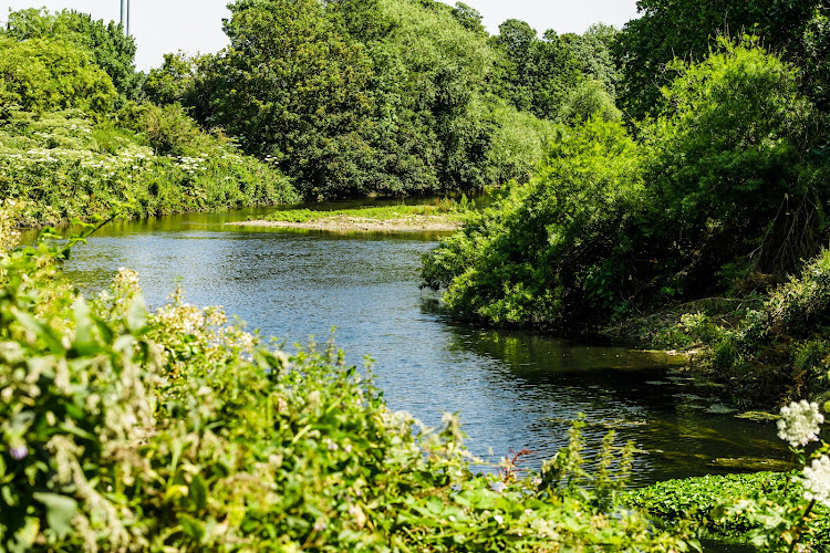 WaterWorks Centre Nature Reserve & Middlesex Filter Beds — London