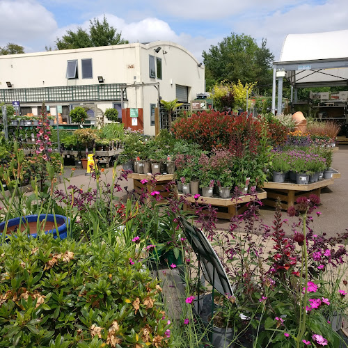 Webbs, Cheltenham — Cheltenham