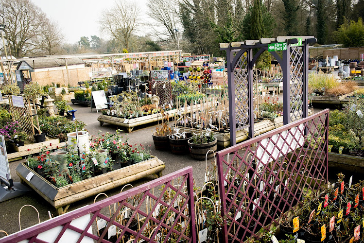 Webbs Garden Centre - Hagley
