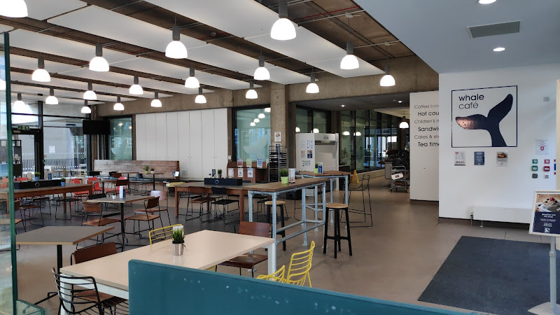 Whale Cafe — Cambridge