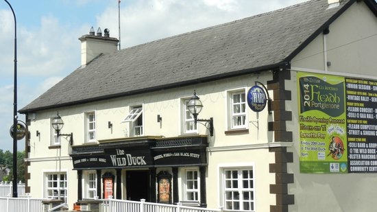 Wild Duck Inn — Ballymena