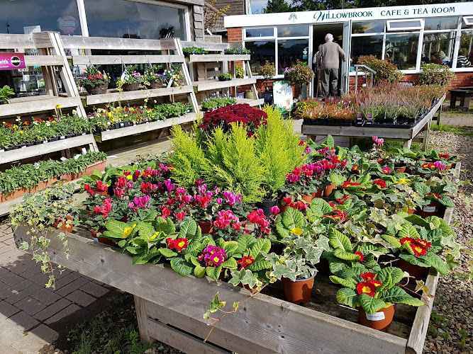 Willowbrook Nursery and Garden Centre — Wellington