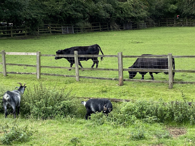 Woodgate Valley Country Park — Birmingham