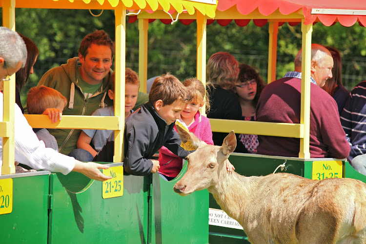 World of Country Life — Exmouth