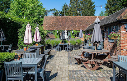 Yew Tree