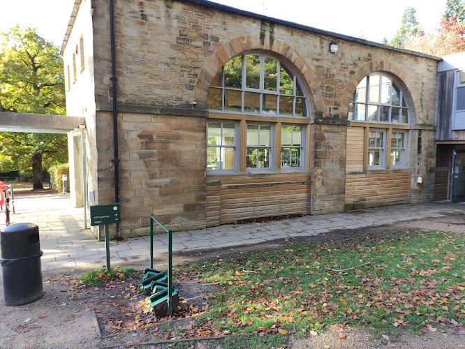 YSP learning and cafe